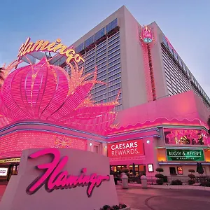 *** Resort Flamingo Vegas & Casino USA
